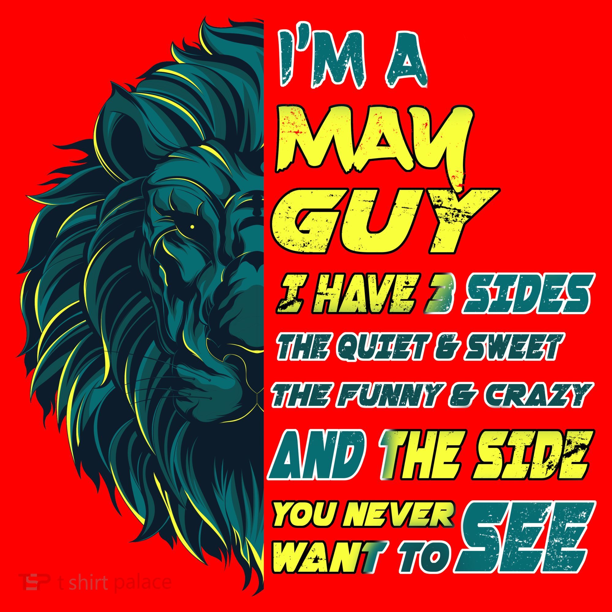 May Birthday Guy Has 3 Sides Sweet Funny Crazy  Santa Hat