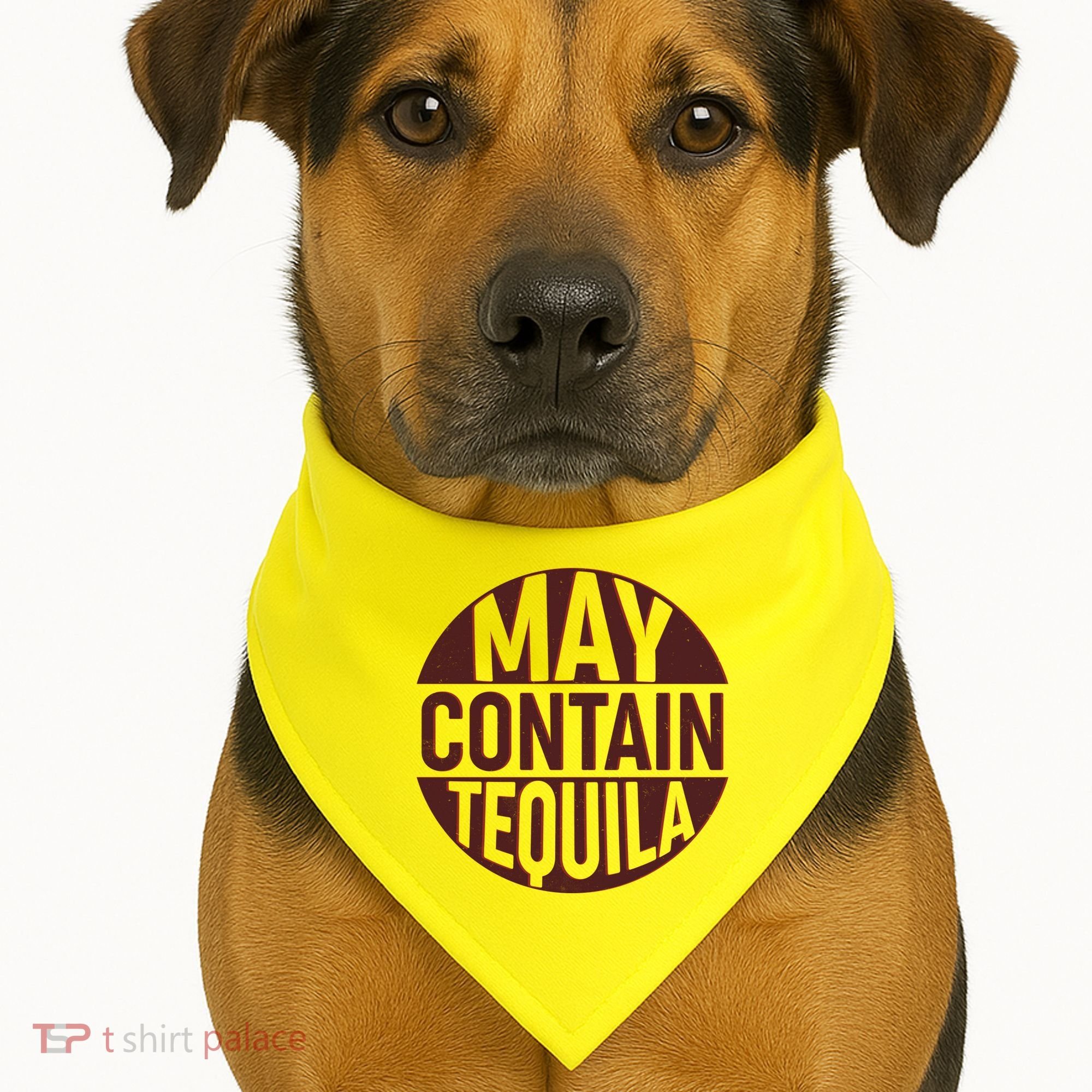 May Contain Tequila USA-Made Doggie Bandana