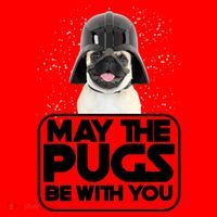May The Pugs Be With You Santa Hat thumb 1