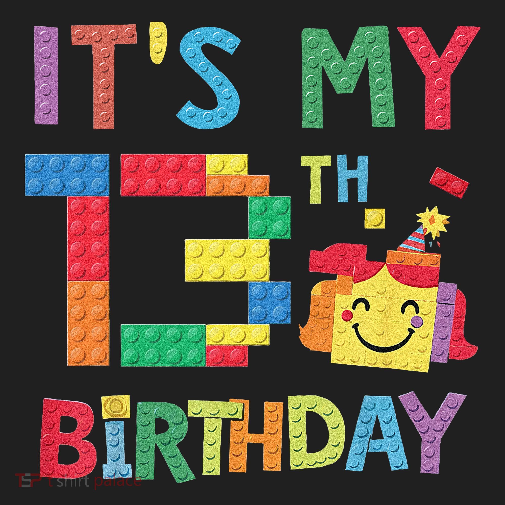 Master Builder 13th ItS My 13th Birthday Brick Blocks Hat