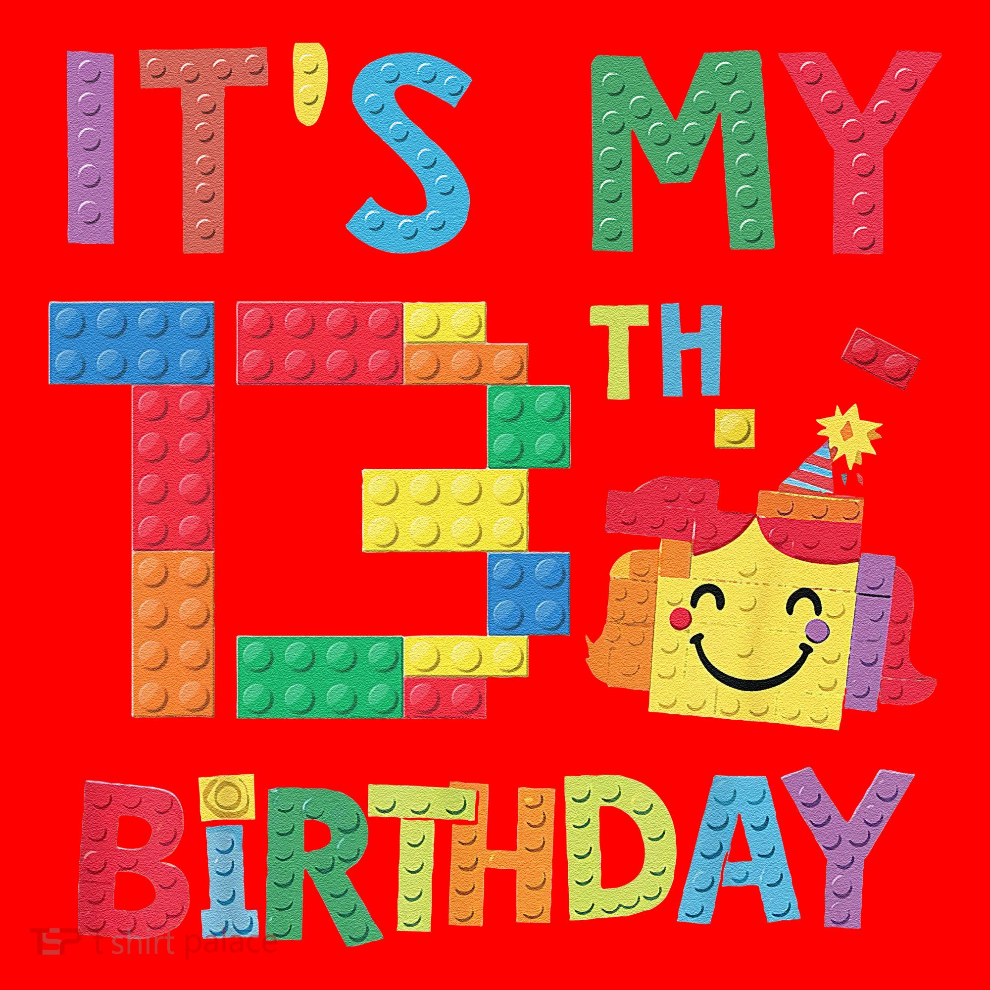 Master Builder 13th ItS My 13th Birthday Brick Blocks Santa Hat