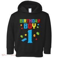 Master Builder 1st Birthday Boy 1 One Year Building Bricks Toddler Hoodie thumb 0