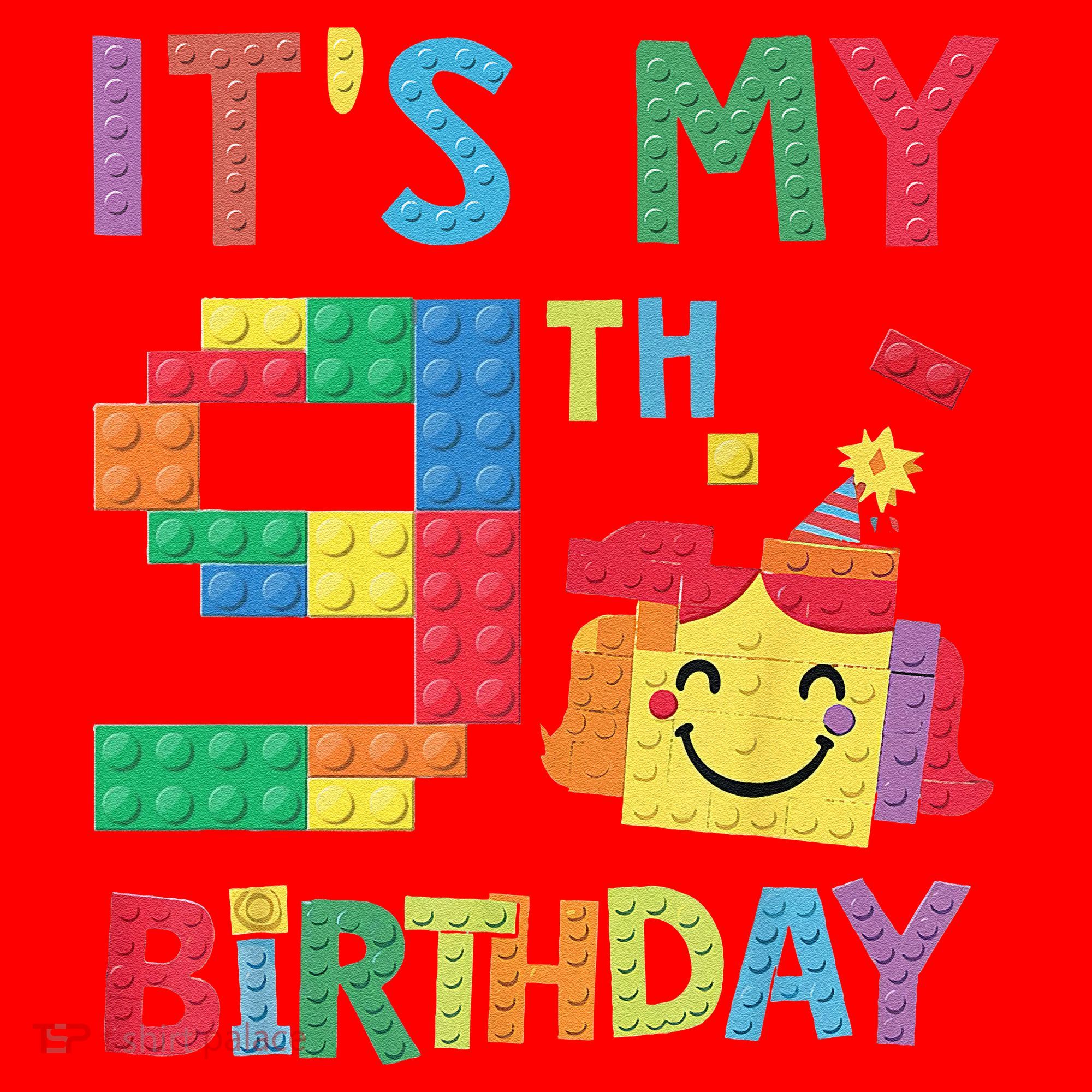 Master Builder 9th ItS My 9th Birthday Brick Blocks Santa Hat