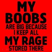 My Boobs Are Big Because I Keep All My Rage Stored There Funny Quote Santa Hat thumb 1