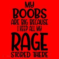 My Boobs Are Big Because I Keep All My Rage Stored There Cute Gift Santa Hat thumb 1
