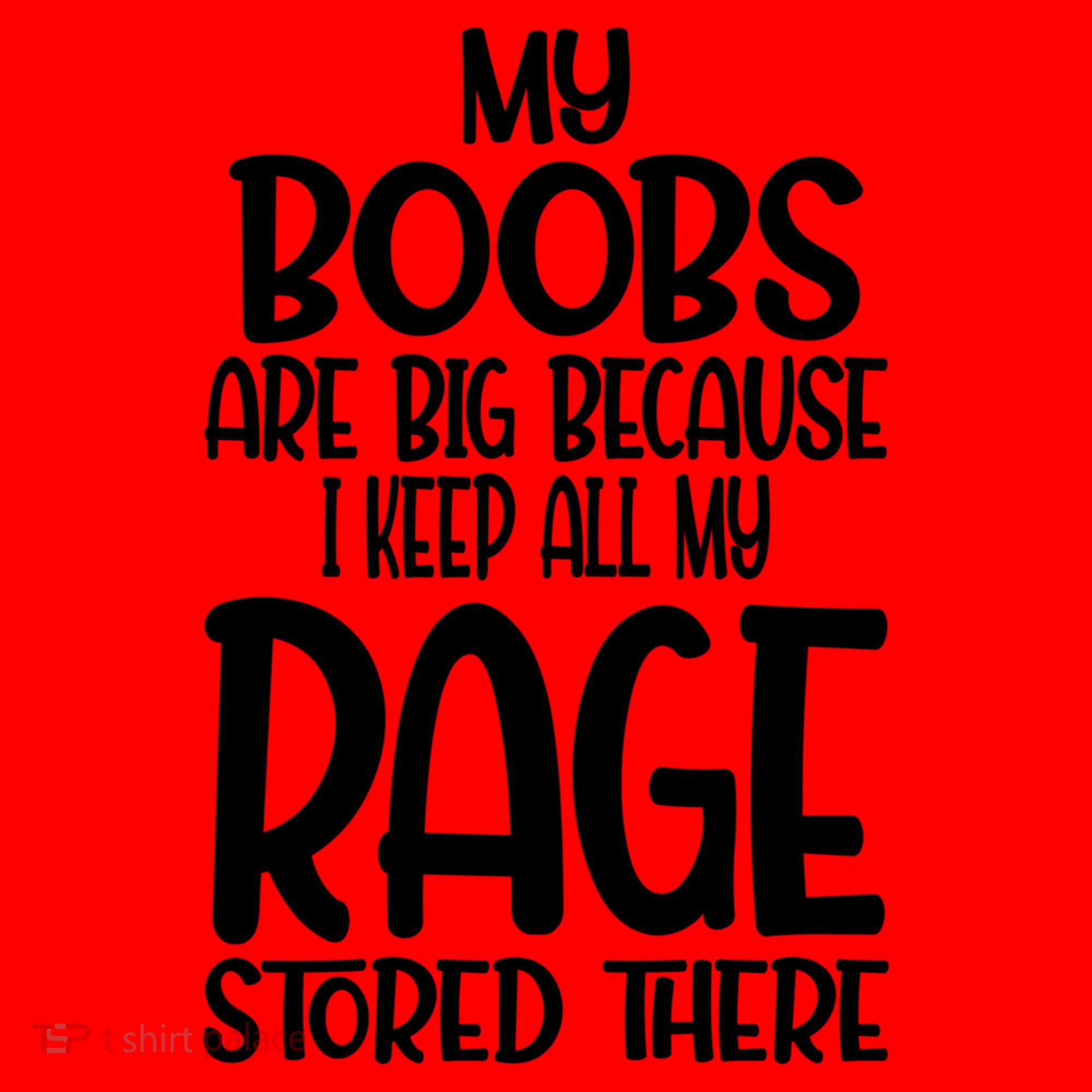 My Boobs Are Big Because I Keep All My Rage Stored There Cute Gift Santa Hat