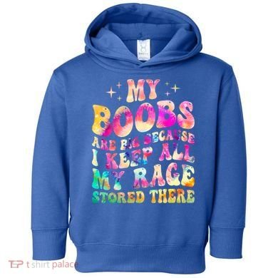 My Boobs Are Big Because I Keep All My Rage Stored There Gift Toddler Hoodie