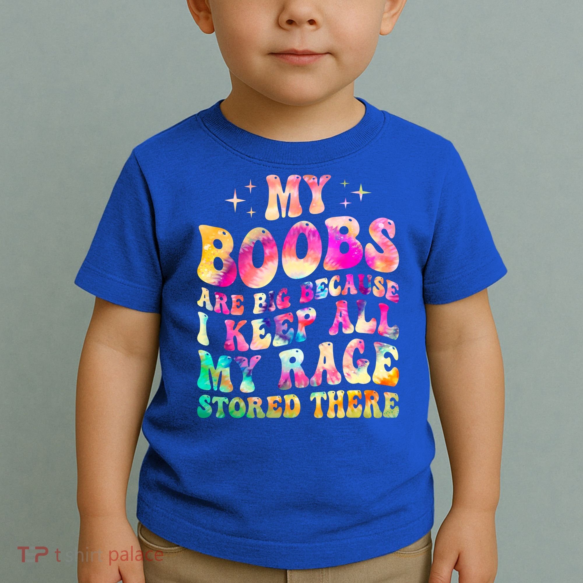 My Boobs Are Big Because I Keep All My Rage Stored There Gift Toddler T-Shirt