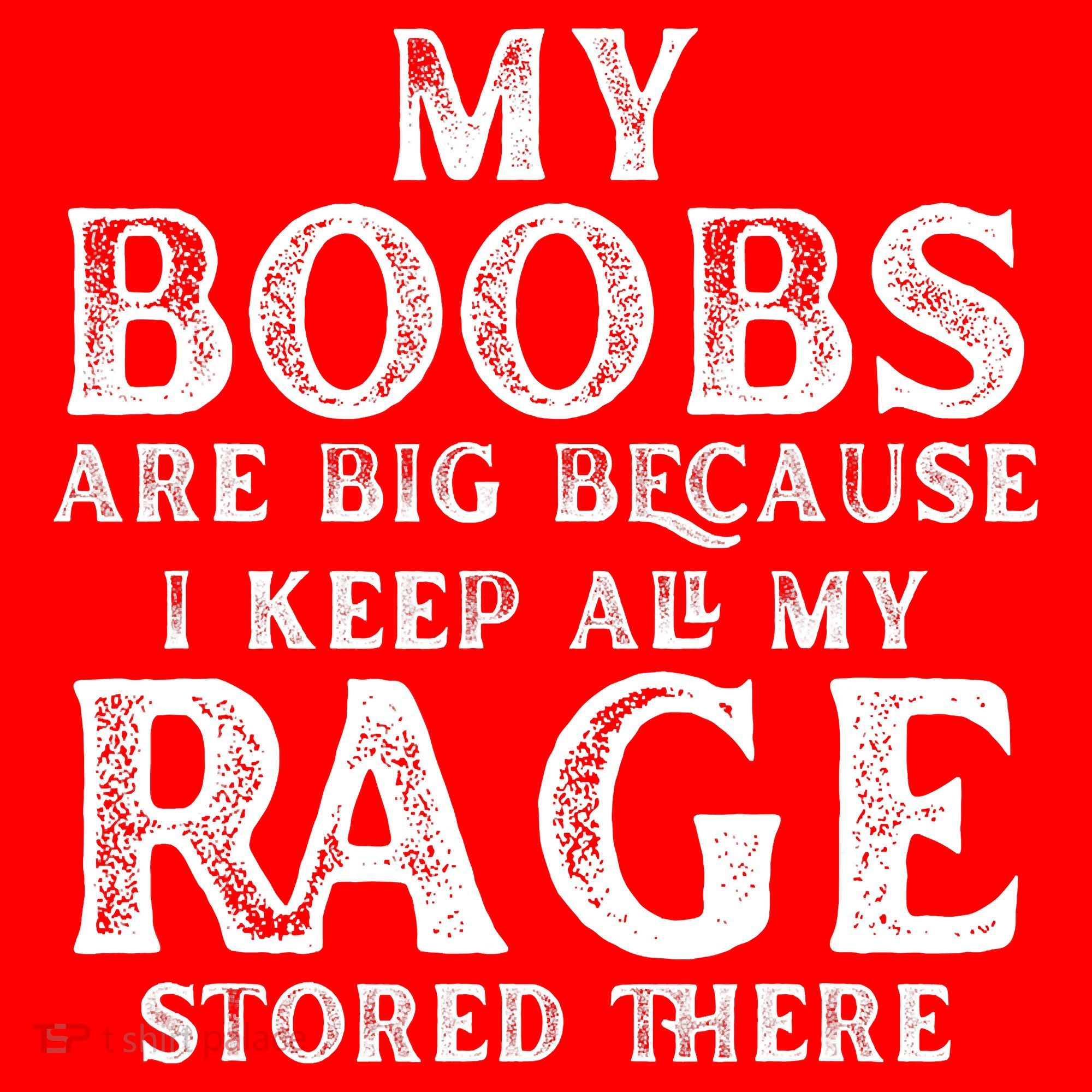 My Boobs Are Big Because I Keep All My Rage Stored There Funny Santa Hat