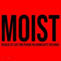 MOIST Because At Least One Person You Know Hates This Word Santa Hat thumb 1