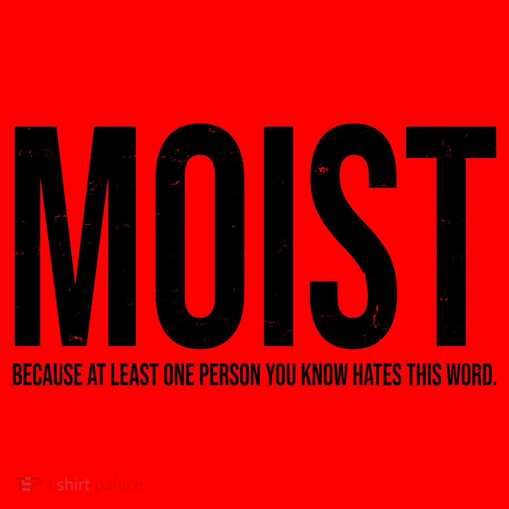 MOIST Because At Least One Person You Know Hates This Word Santa Hat