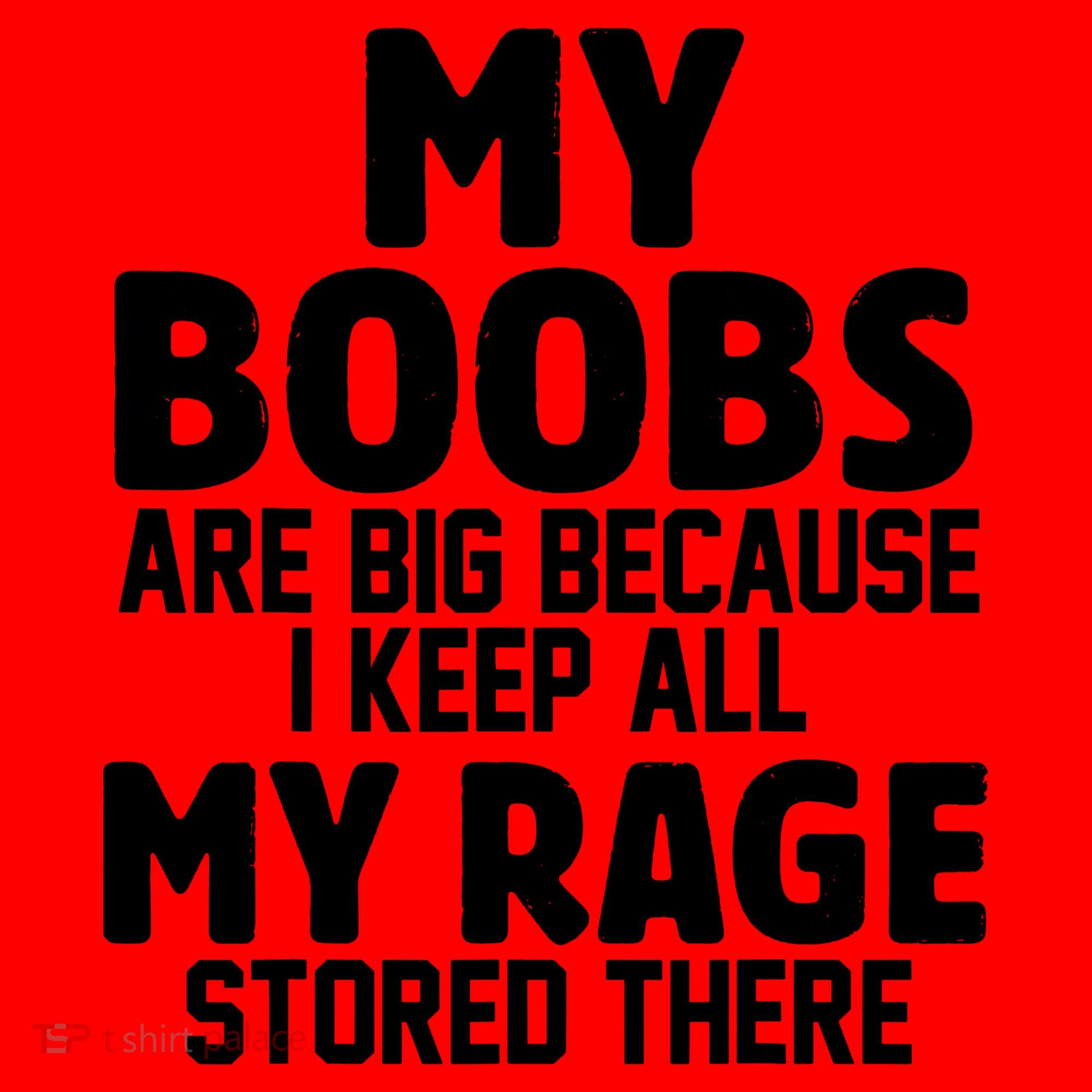 My Boobs Are Big I Keep All My Rage Stored There Funny Santa Hat