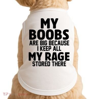 My Boobs Are Big I Keep All My Rage Stored There Funny Doggie Tank