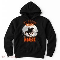 My Broom Broke So Now I Ride A Horse Hoodie thumb 0