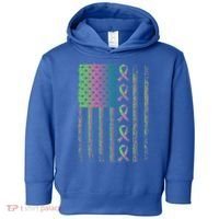 Metastatic Breast Cancer Flag Awareness Survivor Gift Toddler Hoodie thumb 0