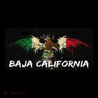 Mexicali Baja California Mexico License Plate Aesthetic Coffee Mug thumb 5