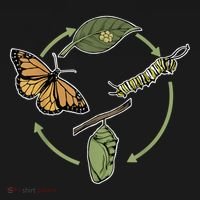 Monarch Butterfly Evolution Cute Butterfly Backpack thumb 2