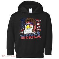 Merica Bald Eagle Mullet 4th Of July American Flag Patriotic Toddler Hoodie thumb 0