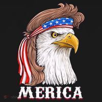 Merica Bald Eagle Mullet 4th Of July American Flag Toddler Hoodie thumb 2