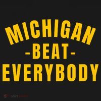 Michigan Beat Everybody Funny Ornament thumb 1
