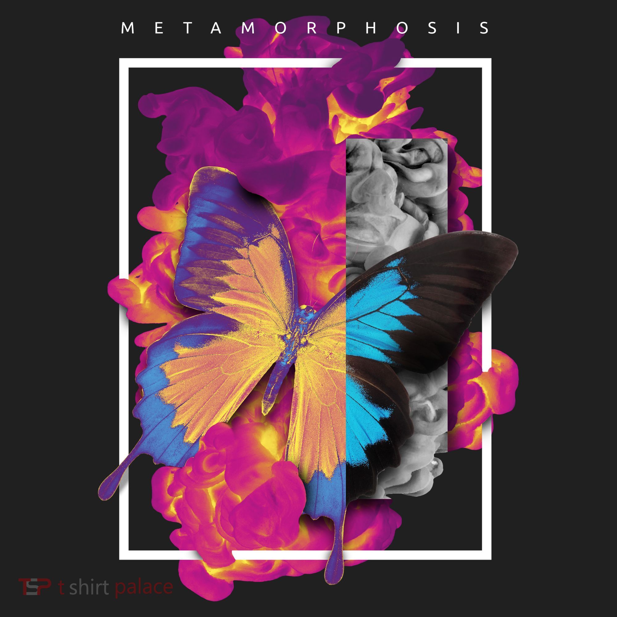 Metamorphosis Butterfly Graphic Tumbler