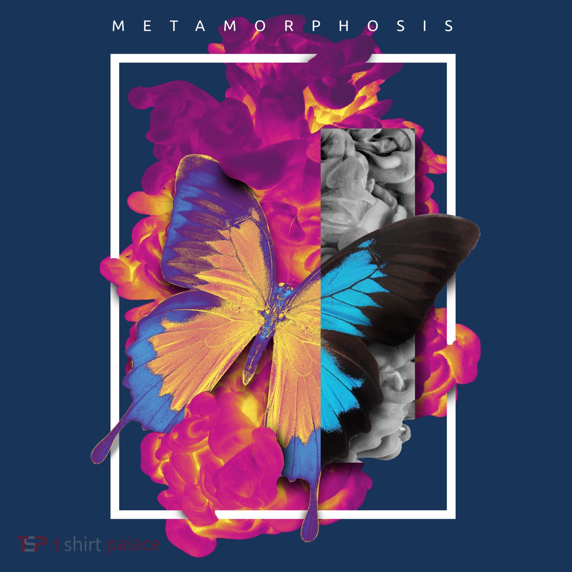 Metamorphosis Butterfly Graphic T-Shirt