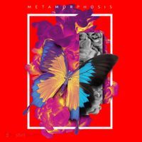 Metamorphosis Butterfly Graphic Santa Hat thumb 1