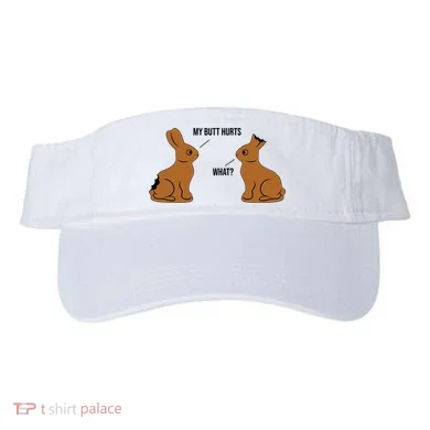 Visor