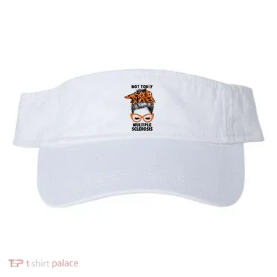 Visor