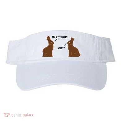 Visor