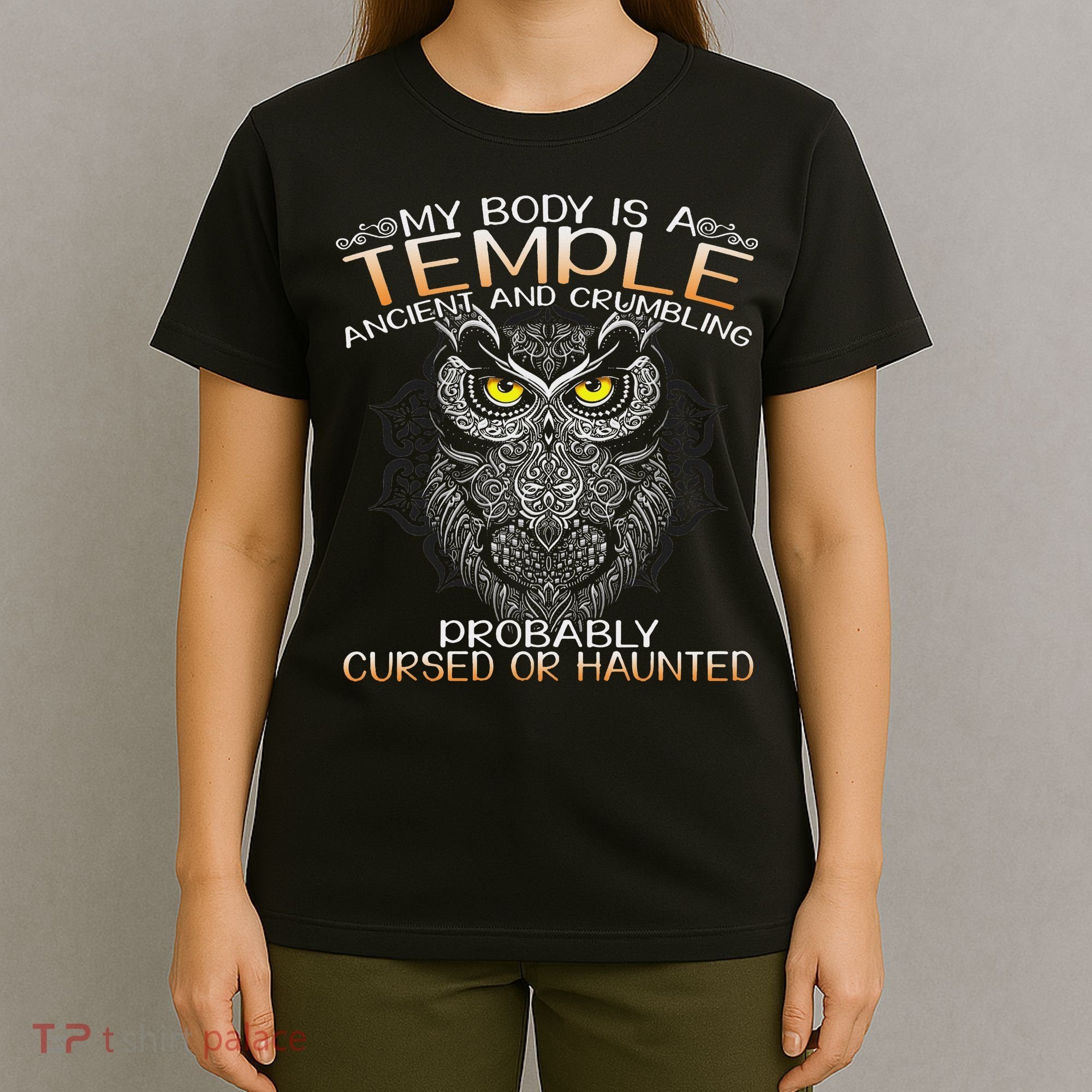 My Body Is A Temple Ancient And Crumbling Owl Lover T-Shirt