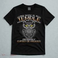 My Body Is A Temple Ancient And Crumbling Owl Lover T-Shirt thumb 5