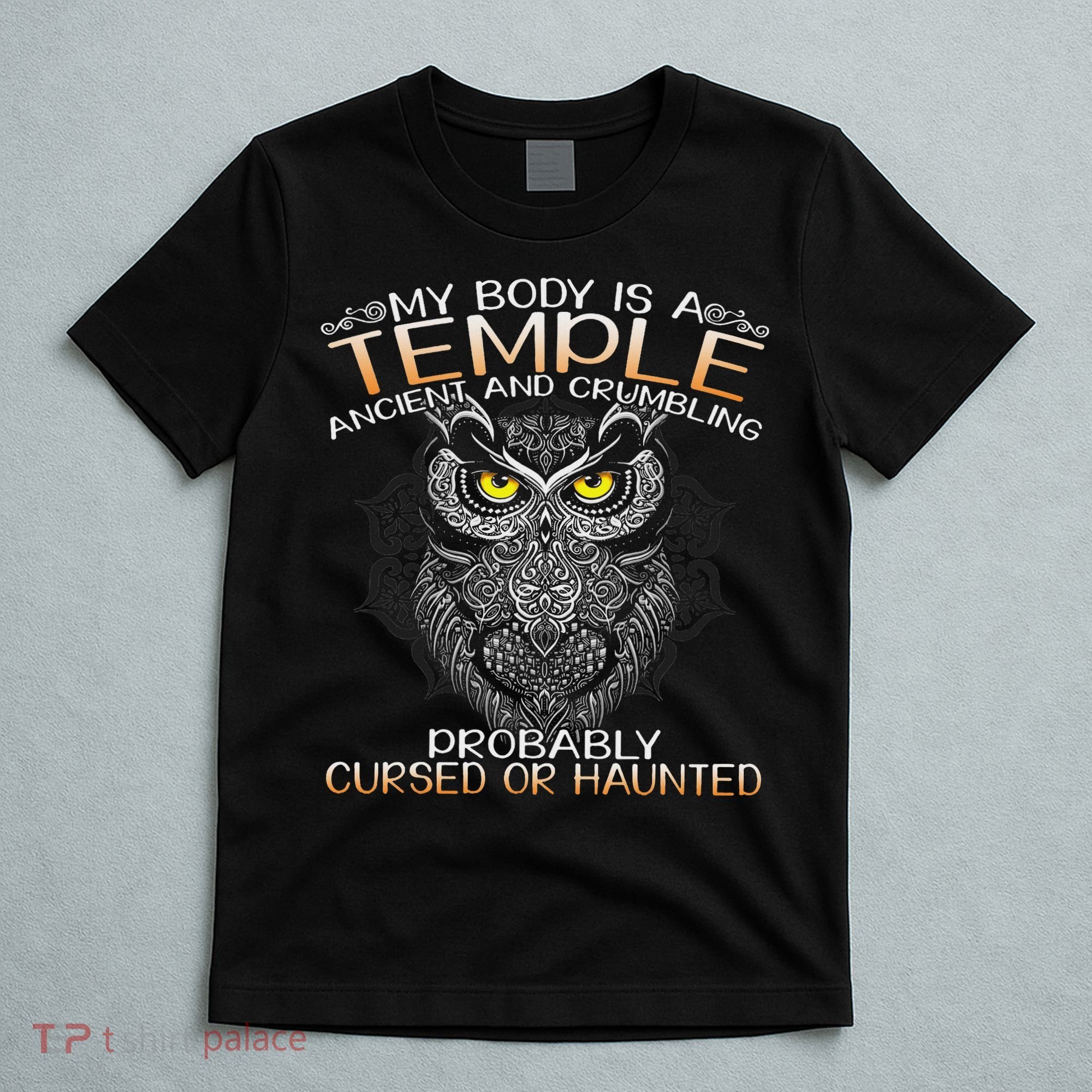My Body Is A Temple Ancient And Crumbling Owl Lover T-Shirt