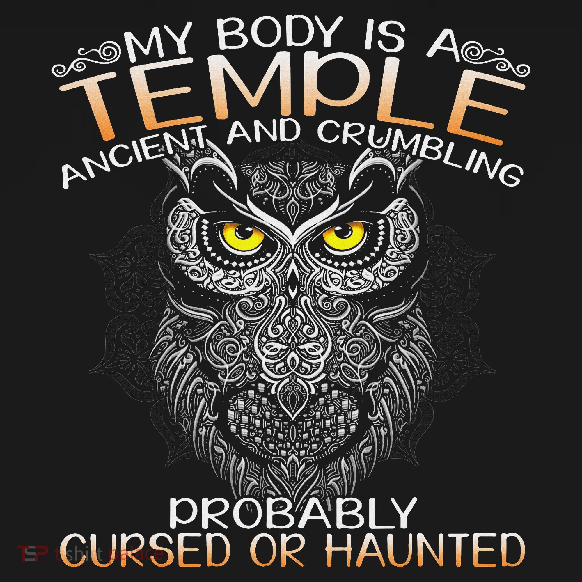 My Body Is A Temple Ancient And Crumbling Owl Lover Women's Hoodie