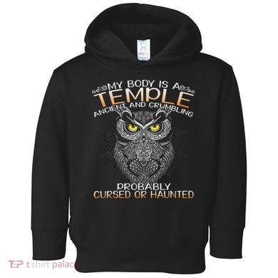 My Body Is A Temple Ancient And Crumbling Owl Lover Toddler Hoodie