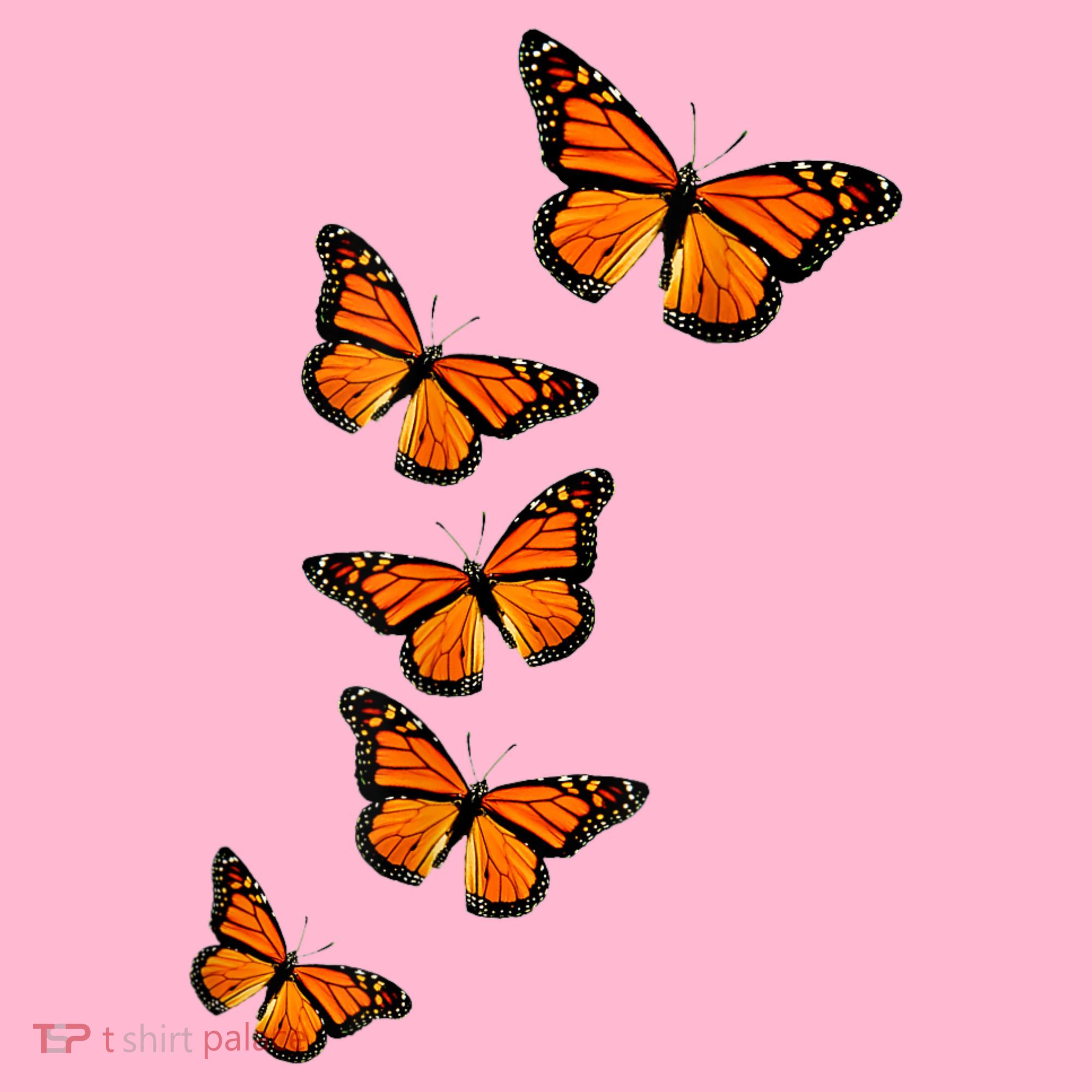 Monarch Butterflies Inspirational Entomologists Coaster