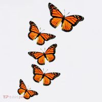 Monarch Butterflies Inspirational Entomologists Doggie Tank thumb 4