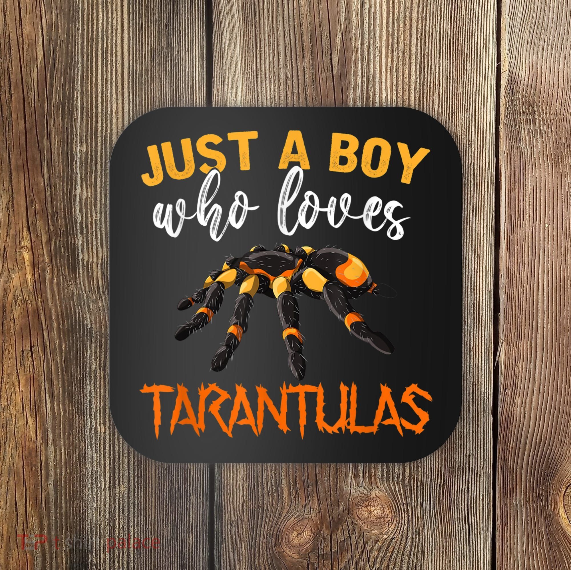 Men Boys Kids Just A Boy Who Loves Tarantulas Spider Coaster