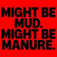 Might Be Mud Might Be Manure Funny Quote Santa Hat thumb 1