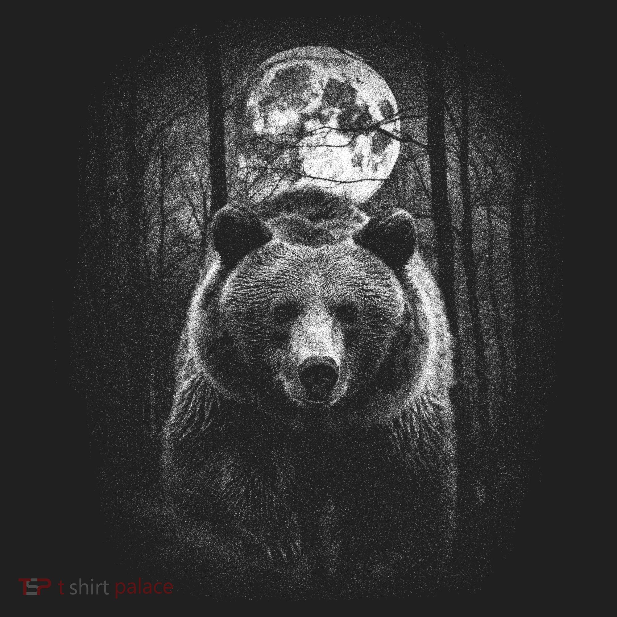 Moonlight Bear Women's Sweatshirt