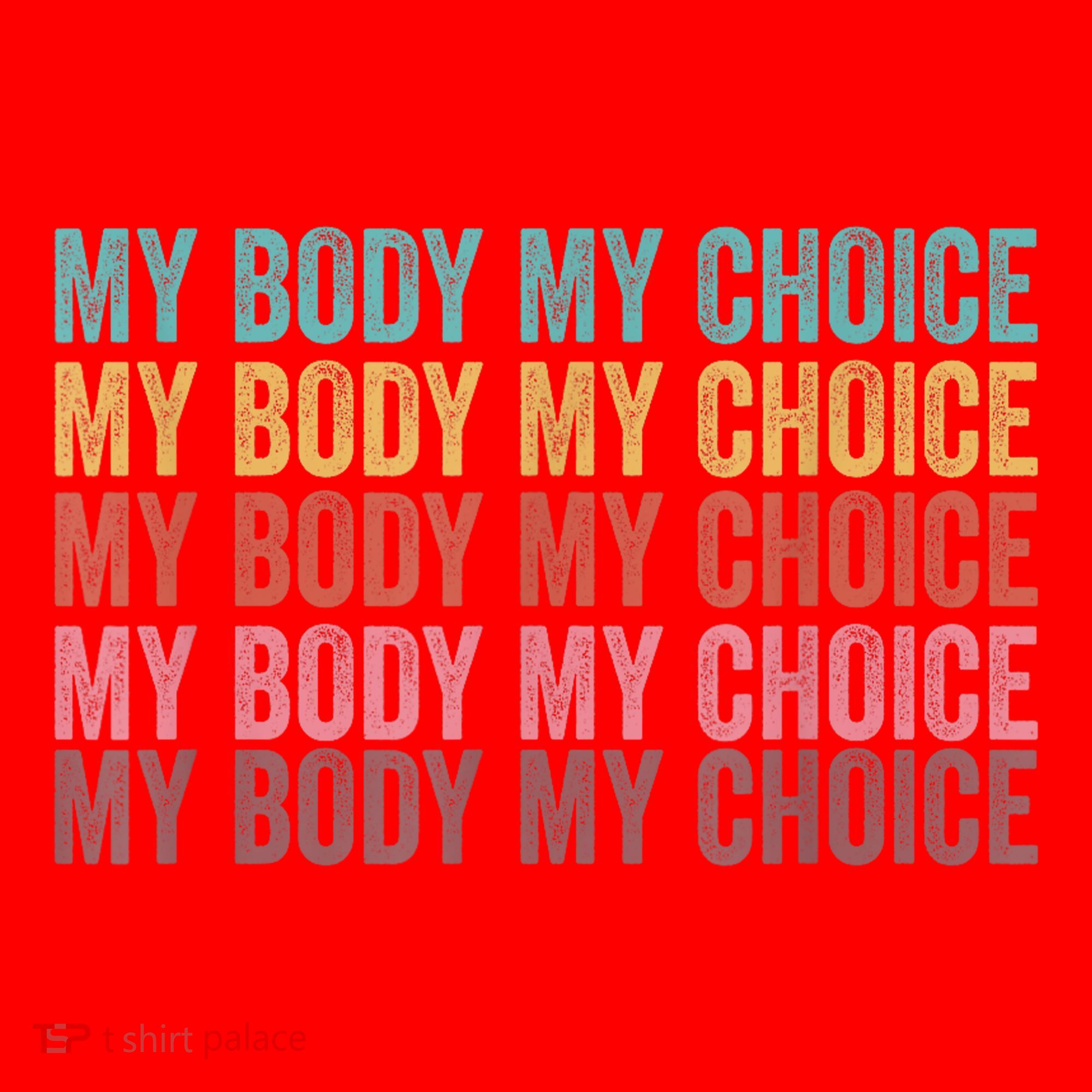 My Body My Choice Santa Hat