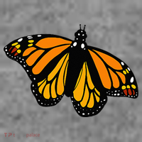 Monarch Butterfly Pocket By Milkweed Mavens Nature Toddler Hoodie thumb 2