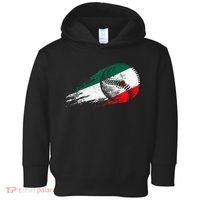 Mexican Baseball Player Mexico Flag Baseball Lover Toddler Hoodie thumb 0