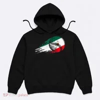 Mexican Baseball Player Mexico Flag Baseball Lover Hoodie thumb 0