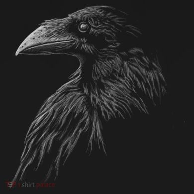 Mystical Black Raven Illustration Crow Artwork Hoodie
