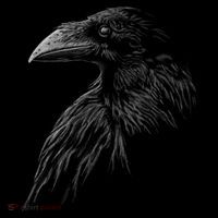 Mystical Black Raven Illustration Crow Artwork T-Shirt thumb 7