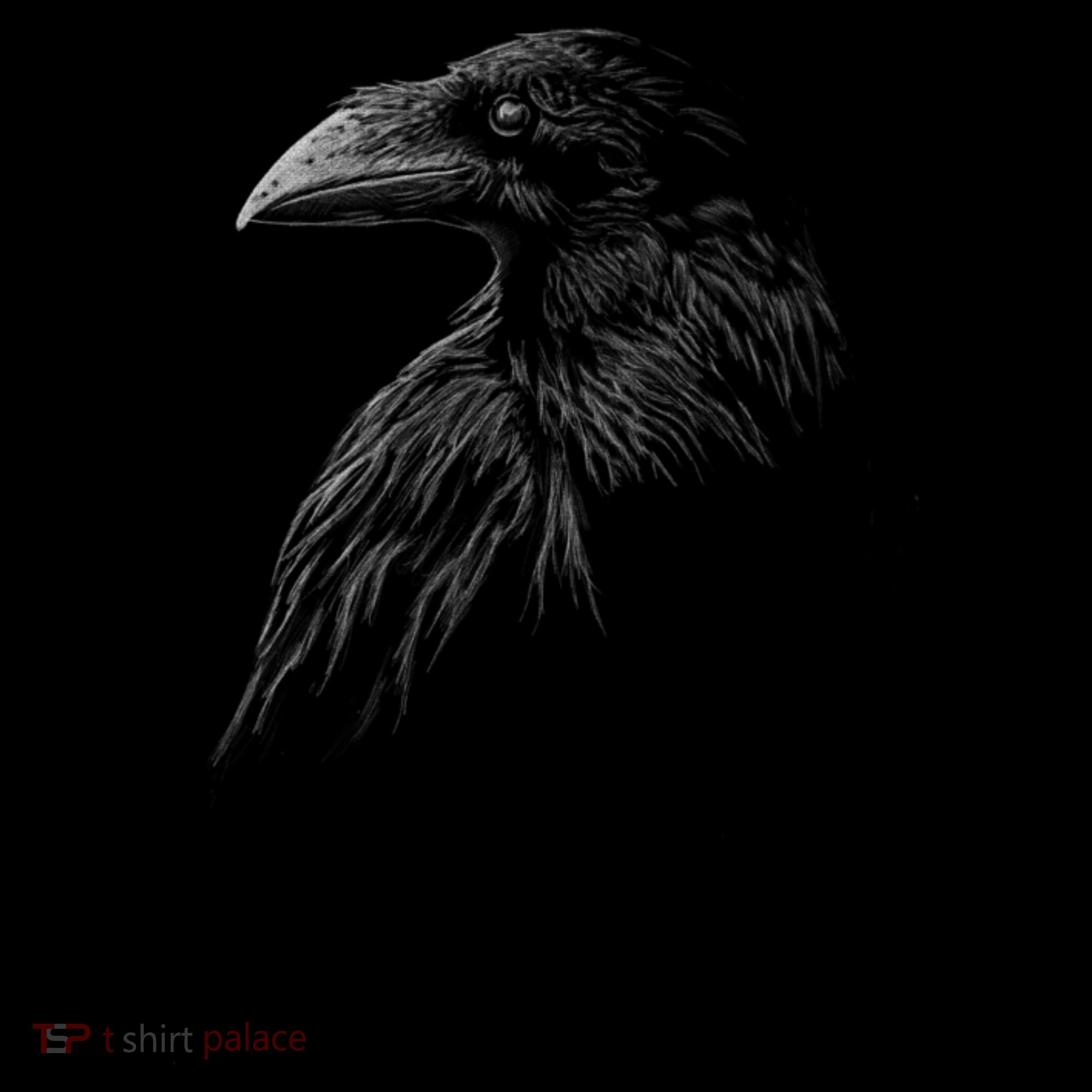 Mystical Black Raven Illustration Crow Artwork Coaster