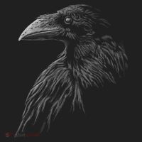 Mystical Black Raven Illustration Crow Artwork Tumbler thumb 3
