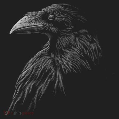 Mystical Black Raven Illustration Crow Artwork Plastic Christmas Ball Ornament