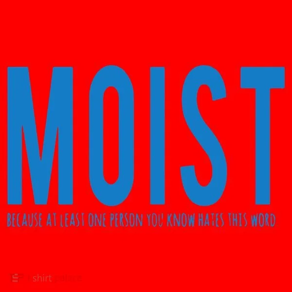 Moist Because Someone Hates This Word Santa Hat